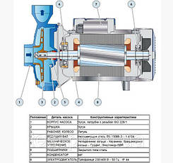 Насос відцентровий Pedrollo CPm 170M, 1100 Вт, 9.6 м3/год, 36 м, фото 4