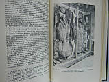 Станюкiч Т.В. Кунсткамера Петер4ської академіки наук (б/у)., фото 8