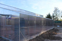 Закритий ґрунт. теплиці.