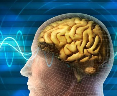 Alpha GPC (глицерофосфохолин) купить в Украине — vitamins.in.ua