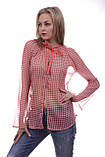 Шифонові блузи оптом Amy Gee з довгим рукавом, фото 3