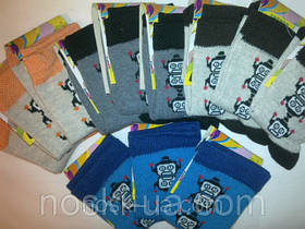 Дитячі шкарпетки, р.14, 1-2 роки