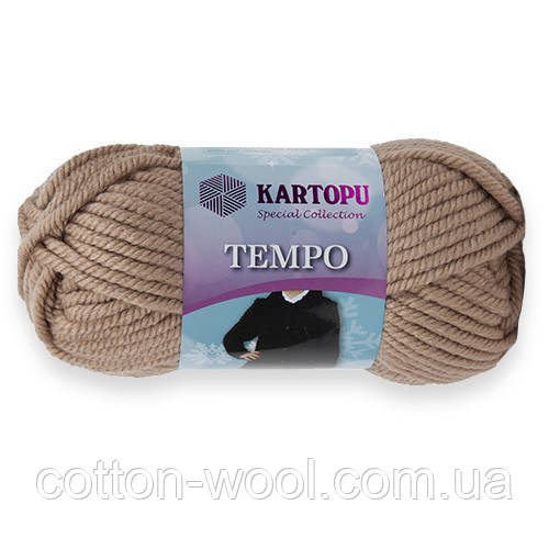 Kartopu Tempo 886