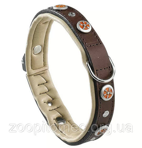 Шкіряний нашийник для собак з заклепками GIOTTO BROWN C 20/39