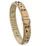 Шкіряний нашийник для собак з металевими аплікаціями GIOTTO LUXOR BEIGE C 25/44, фото 2