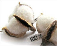 Х/б трикотаж або чому довіряють одязі їх натуральної бавовни?