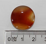 Сердолик, фото 2