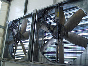 Вентиляція для курника, перепелів