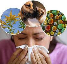 Препарати для лікування і профілактики алергії