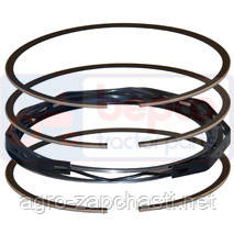 Поршневі кільця 100 мм двигуна Deutz (комплект), фото 1