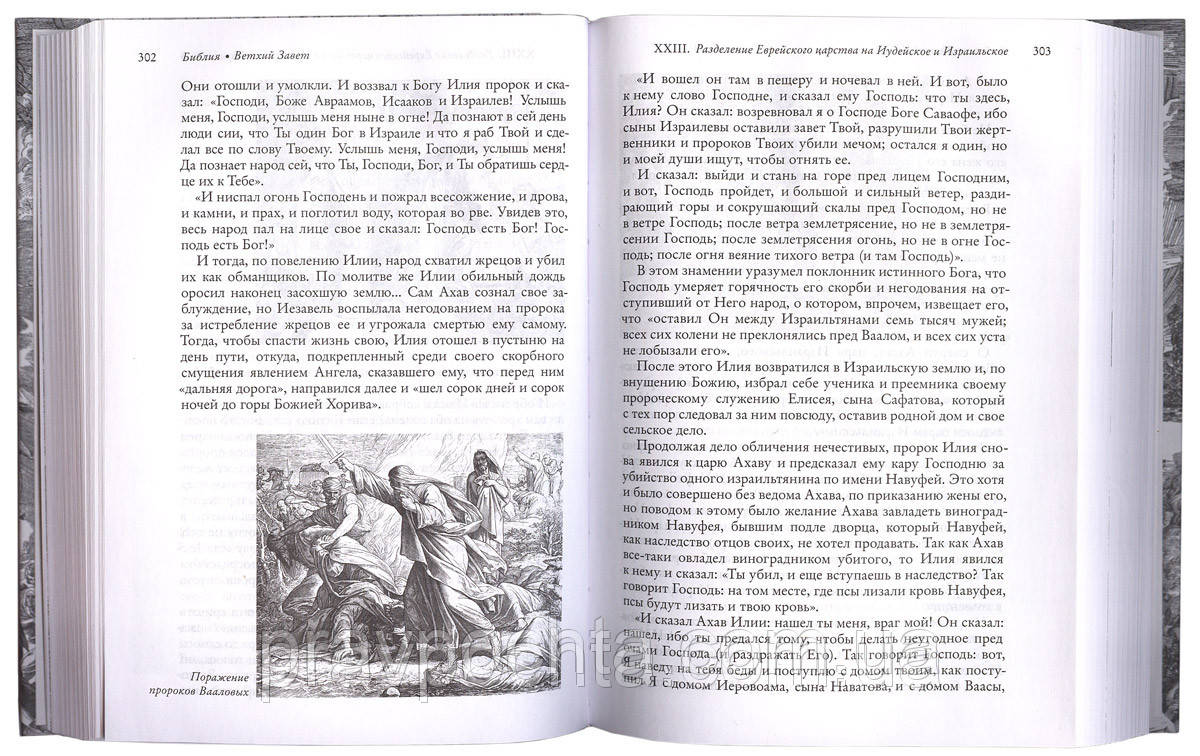 Библия на русском языке, изложенная для семейного чтения - фото 5 - id-p36255003