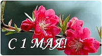 Поздравляем с 1 МАЯ!