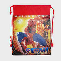 Дитяча сумка-рюкзак для змінного взуття Spider man