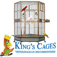 Kings Cages