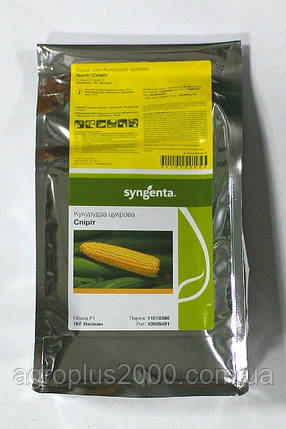 Насіння Кукурудза цукрова Спірит F1, 1 кг Syngenta, фото 1