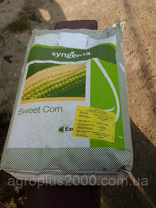 Насіння Кукурудза цукрова Спірит F1 мішок 100000 насіння Syngenta, фото 1