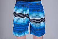 Чоловічі шорти в лінію (плащівка), синього кольору