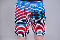 Чоловічі шорти в лінію (плащівка), синього кольору