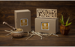 Клітинне харчування