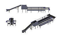 Линия по переработке и предпродажной подготовке чеснока