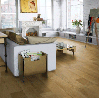 Побутовий лінолеум Evolution Live