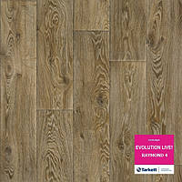 Побутовий лінолеум Evolution Live Раймонд 4