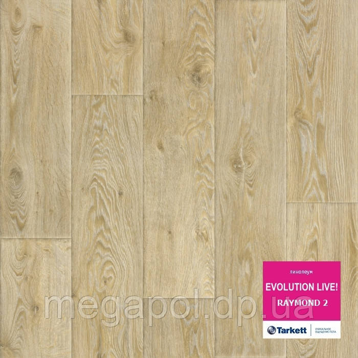 Побутовий лінолеум Evolution Live Раймонд 2, фото 1