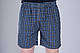 Чоловічі шорти в клітинку (плащівка), темно-синього кольору - фото 1 - id-p538259554
