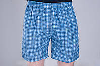 Чоловічі шорти в клітинку (плащівка), світло-синього кольору