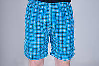 Чоловічі шорти в клітинку (плащівка), блакитного кольору