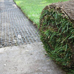 Сітка газонна 1*200м "Avinet-90" Іспанія