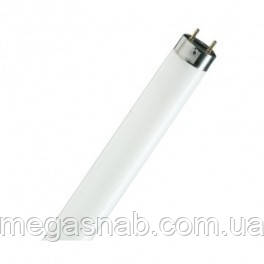 Лампа люмінесцентна Osram T8 Natura L58W/76 G13, фото 1