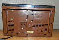Годинник радіогодинник Panasonic RC-6015 Назад у майбутнє, фото 2