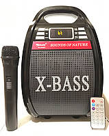 Бумбокс з радіомікрофоном Golon RX-810BT (USB/Bluetooth/FM/акумулятор)