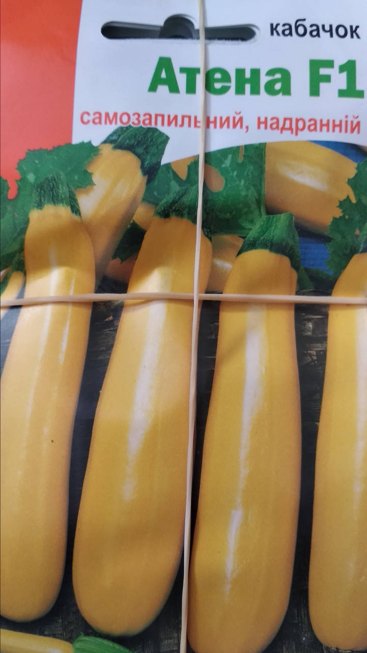 

Кабачок Атена F1 самоопыляющийся 5 семян