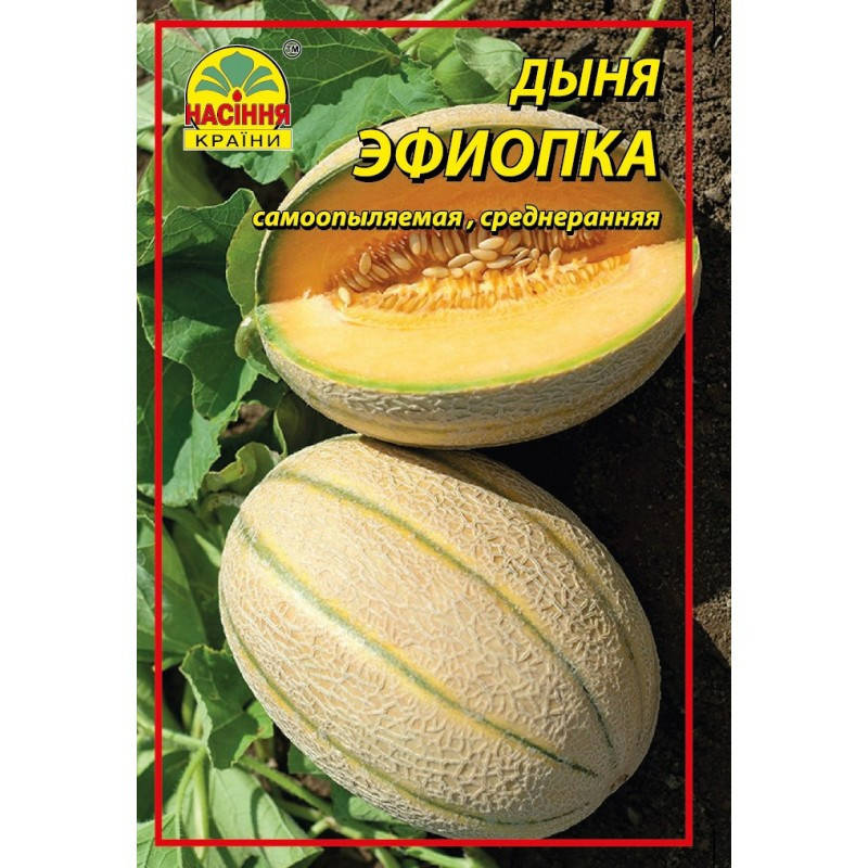 

Дыня Эфиопка - 1 г