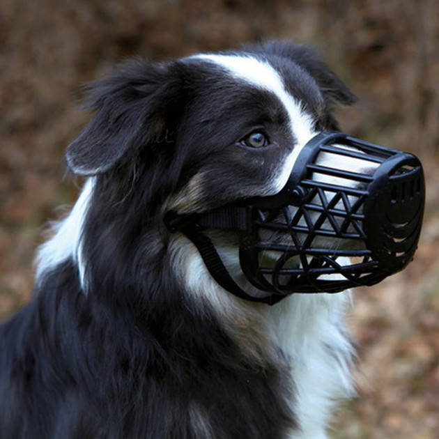 

Намордник пластиковый Trixie (черный) M - 20 см
