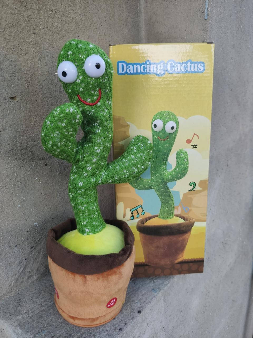 

Танцующий Кактус-повторюшка! Скидки Сегодня