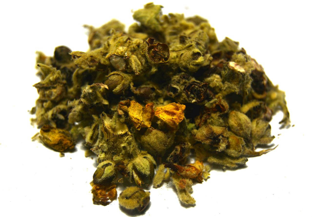 

Коровяк скипетровидный цветки (коровяк густоцветковый, коровяк высокий)