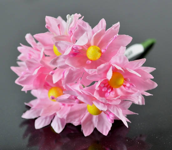 

Цветы для рукодельниц 6шт Ф3см розовый ЦВ160-5/6