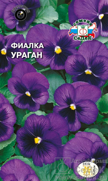 

Семена Виола швейцарский гигант Ураган 0,05 грамма Седек, Фиолетовый