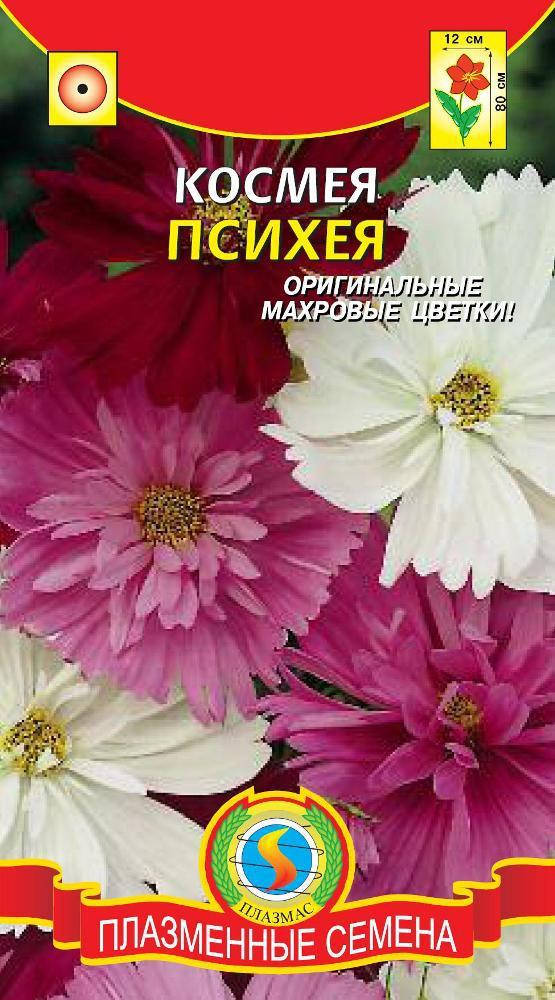 

Космея Психея 30 шт (Плазменные семена)