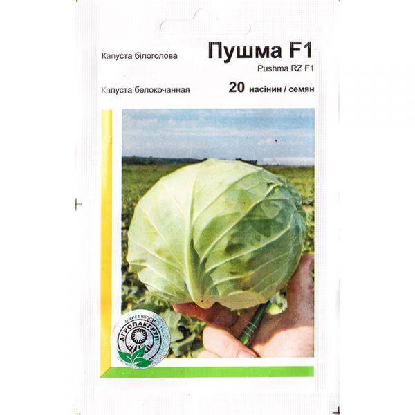 

Пушма F1 семена капусты, 20 семян — белокочанная, раняя (48-50 дней), Rijk Zwaan