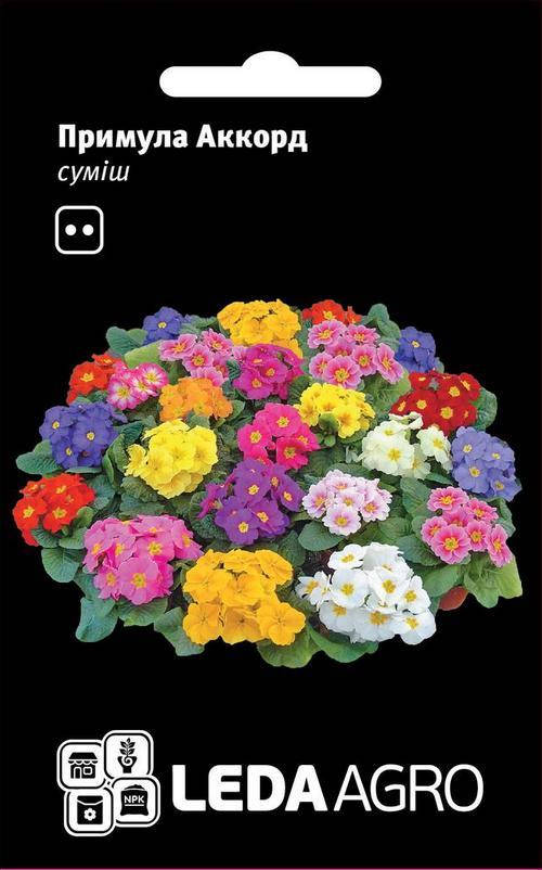 

Примула Аккорд S1, 10 шт., смесь, Разные цвета