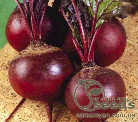 

Свекла столовая "Детройт" 1 кг