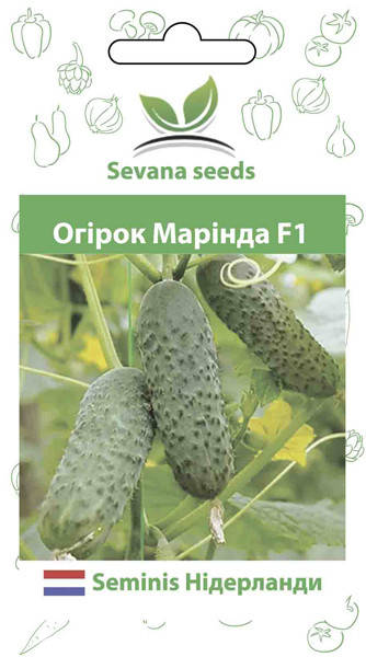 

Семена огурцов Маринда F1 10 шт. самоопыляемый Seminis