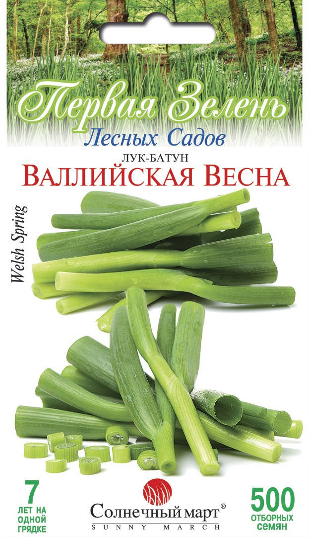

Семена Лук Батун Валлийская Весна 500 семян Солнечный Март