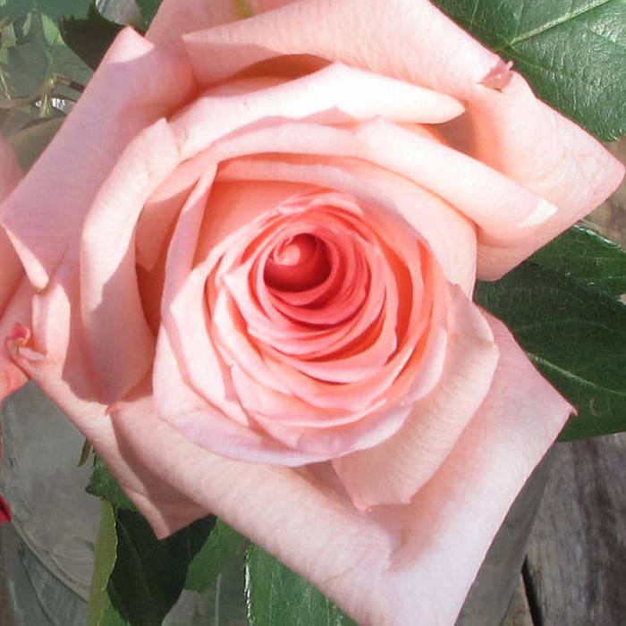 

Ангажемент (Engagement)