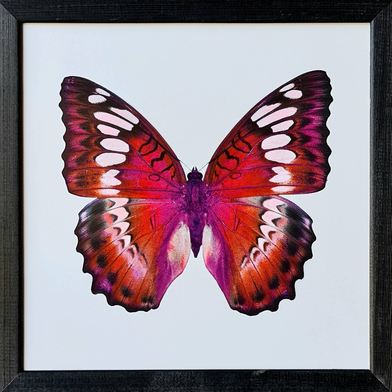 

Фотокартина в деревянной раме "Butterfly 2", 20х20 см