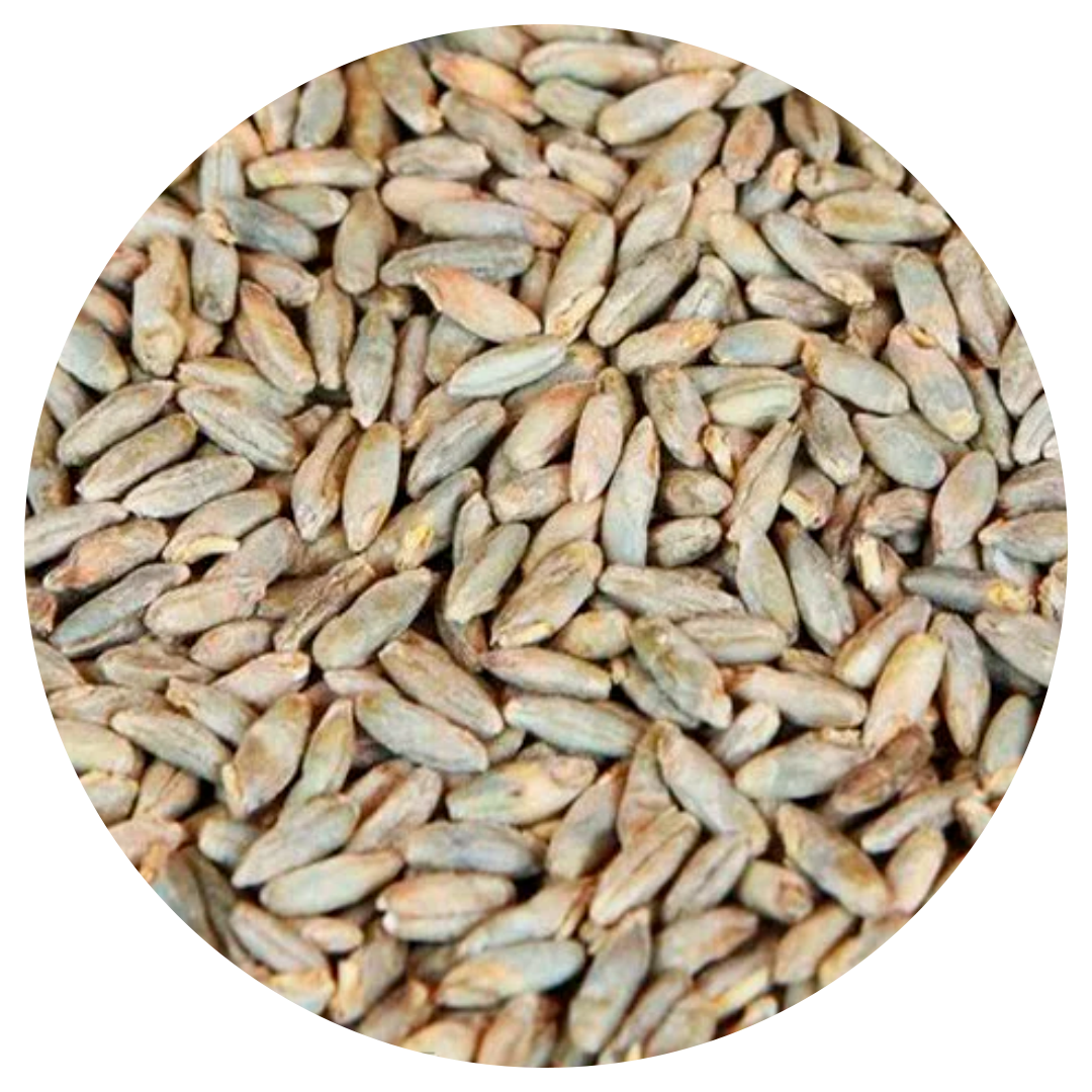 

Солод ржаной (Rye Malt) 1кг